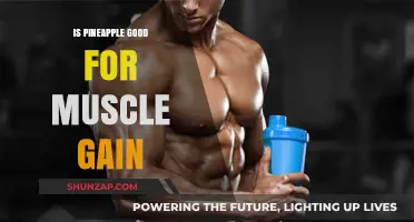Pineapple's Role in Muscle Gain: Benefits, Myths, and Nutritional Insights
