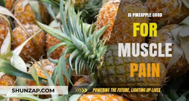 Pineapple's Bromelain Benefits: Can It Relieve Muscle Pain Effectively?