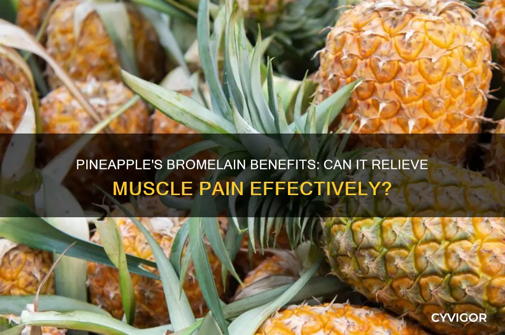 is pineapple good for muscle pain