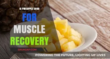 Tropical Twist: Pineapple's Role in Muscle Recovery Revealed