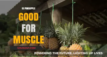Boost Your Muscle Health: The Surprising Benefits of Pineapple