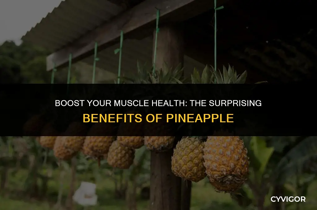 is pineapple good for muscle