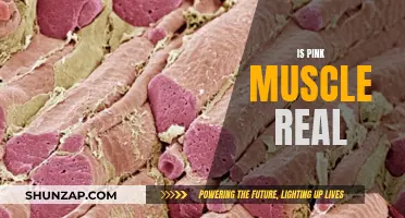 The Science Behind Pink Muscle: Fact or Fiction?