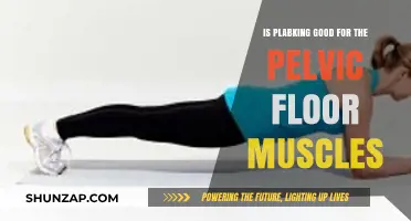 Pelvic Floor Health: The Surprising Benefits of Planking