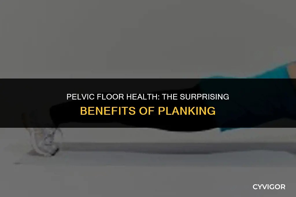 is plabking good for the pelvic floor muscles