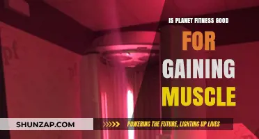 Is Planet Fitness Effective for Muscle Gain? A Comprehensive Review