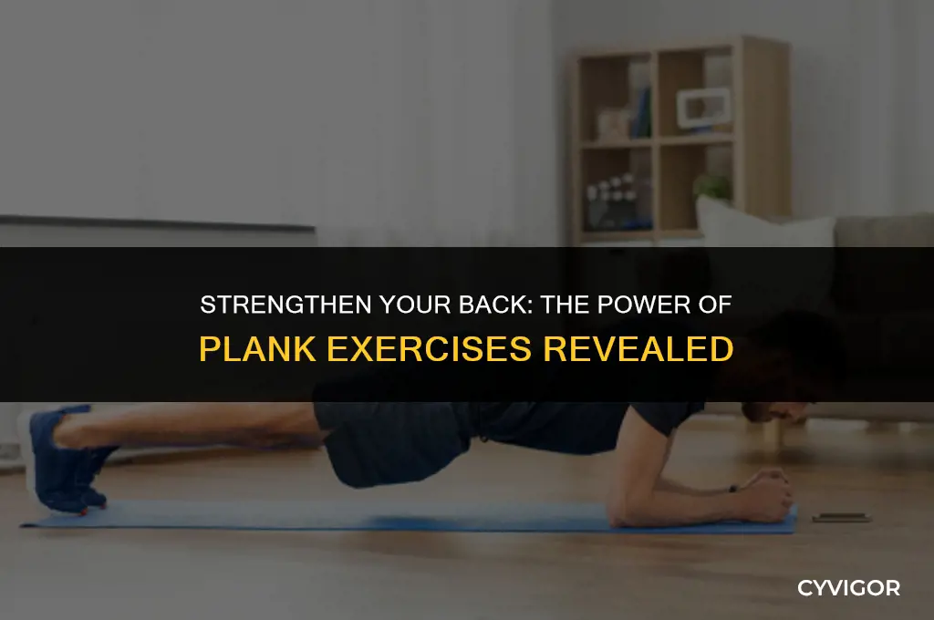 is plank good for back muscles