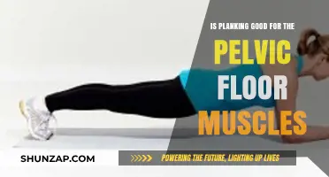 Planking for Pelvic Floor Health: Benefits and Techniques Explained