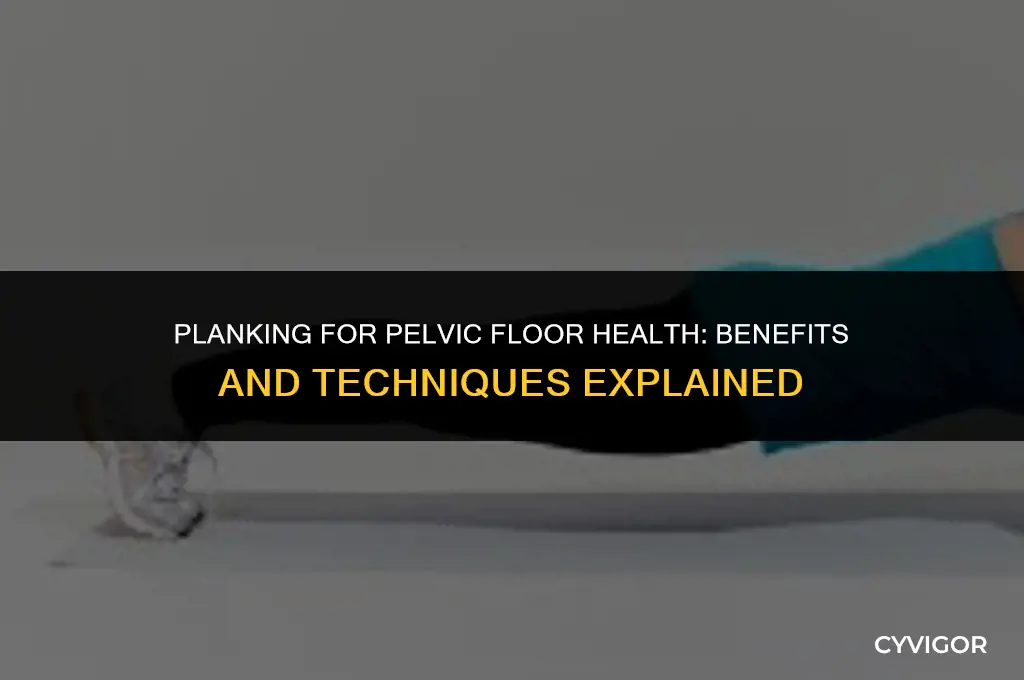 is planking good for the pelvic floor muscles