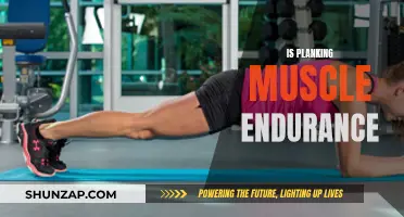 Planking: Building Muscle Endurance, One Rep at a Time