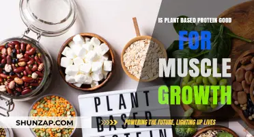 Plant-Based Protein: Fueling Muscle Growth and Strength Naturally