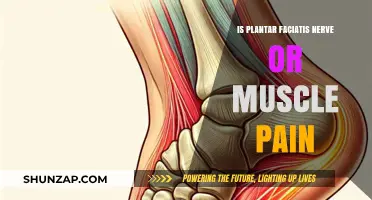 Plantar Fasciitis Unveiled: Understanding Nerve vs. Muscle Pain Causes