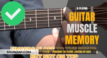 Guitar Playing: Muscle Memory or Artistry?