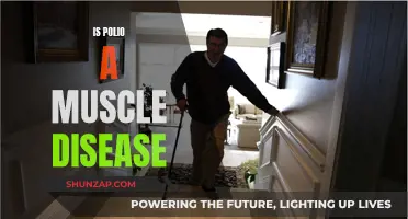 Polio's Impact: Muscle Disease or Something Else?