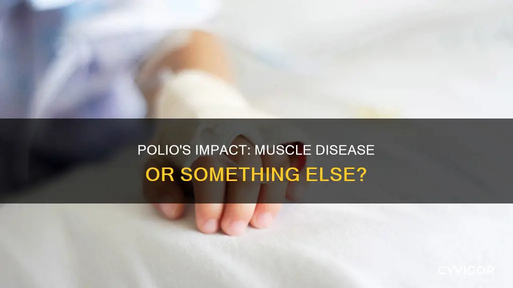 is polio a muscle disease
