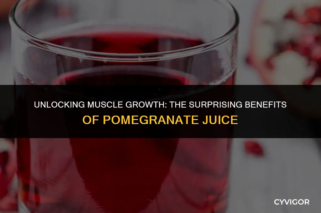 is pomegranate juice good for muscle growth