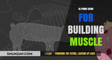 Pork Protein Power: Fueling Muscle Growth and Recovery