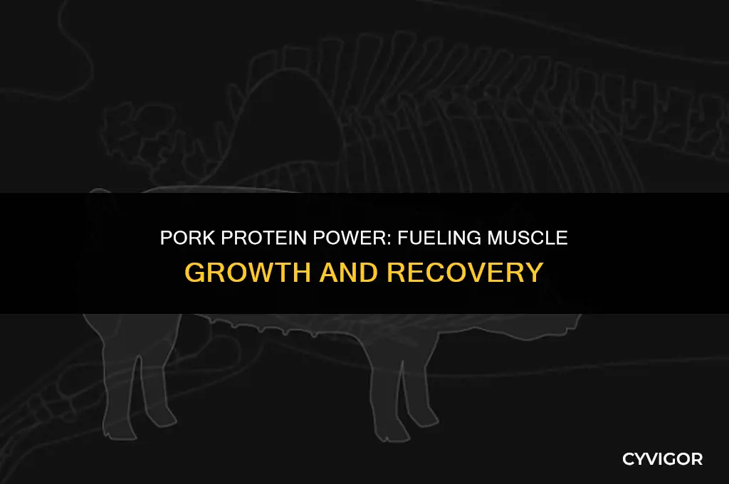 is pork good for building muscle