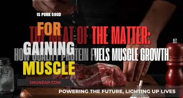 Pork for Muscle Gain: Benefits, Nutrition, and Effective Strategies