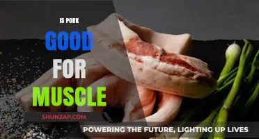 Fuel Your Gains: The Surprising Benefits of Pork for Muscle Building