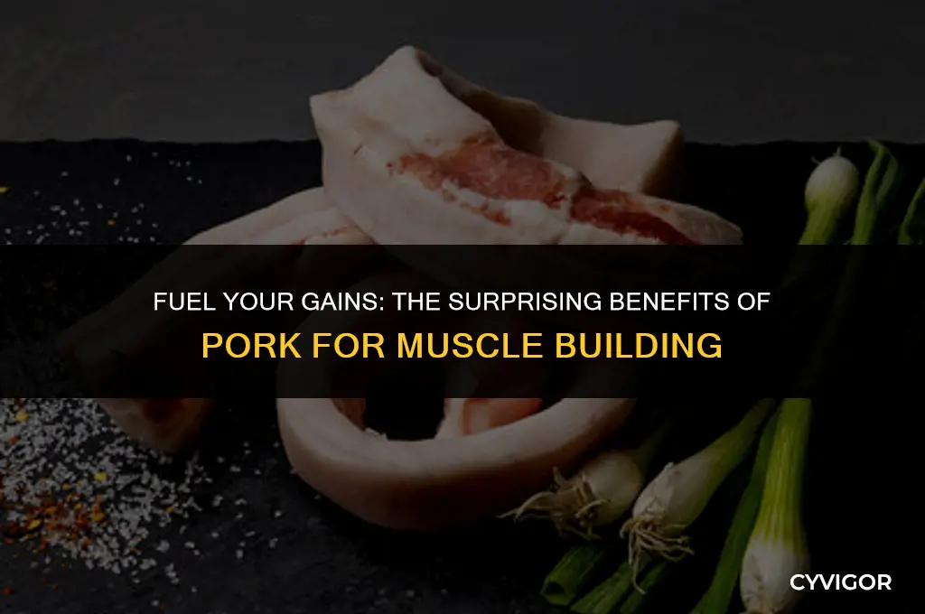 is pork good for muscle