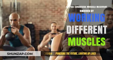 Does Training Different Muscles Impact Post-Workout Recovery?
