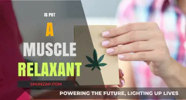 Is Pot a Muscle Relaxant? Exploring Cannabis' Effects on Tension Relief
