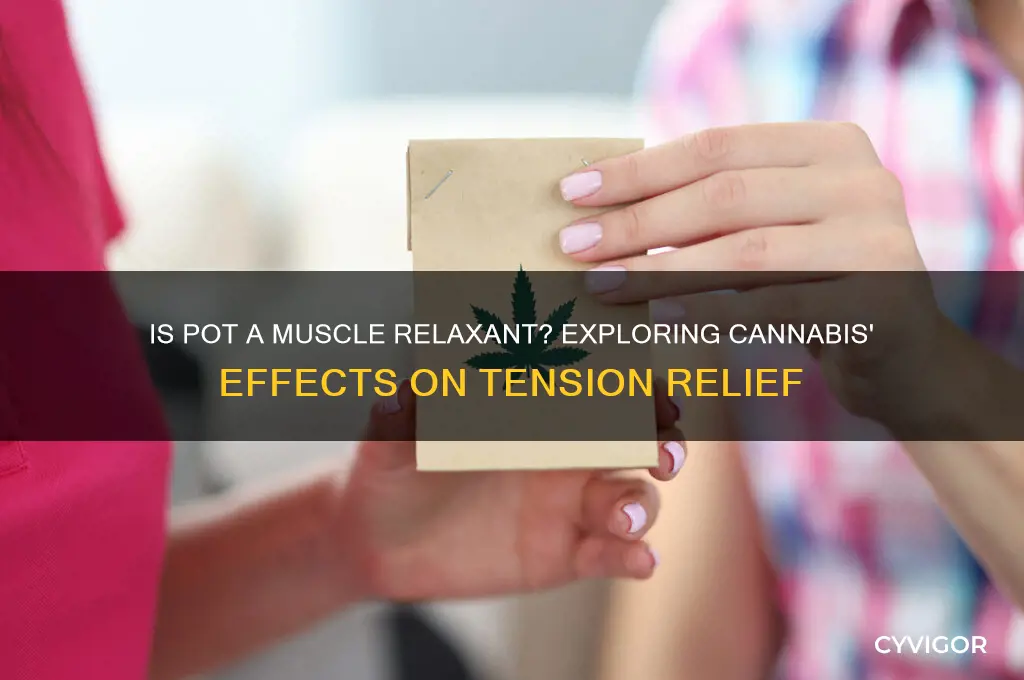 is pot a muscle relaxant