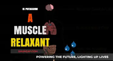 Potassium's Role in Muscle Relaxation: Fact or Fiction?