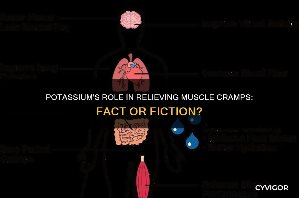 is potassium good for muscle cramps