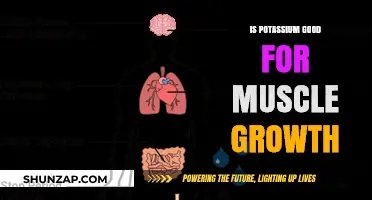 Unlocking Muscle Growth: The Power of Potassium in Your Diet