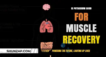 Potassium Power: Boosting Muscle Recovery Naturally