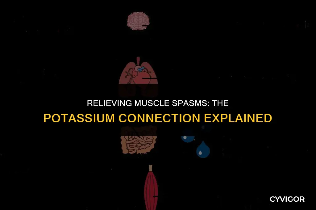 is potassium good for muscle spasms