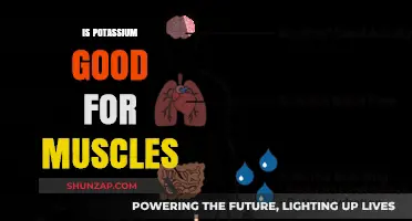 Unlocking Muscle Potential: The Power of Potassium