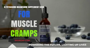 Relief for Muscle Cramps: The Potassium-Magnesium Supplement Debate