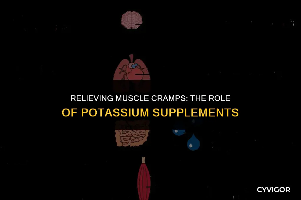 is potassium pills good for muscle cramps