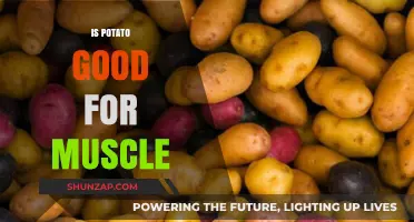 Unleashing the Power of Potatoes: A Surprising Muscle-Boosting Ally