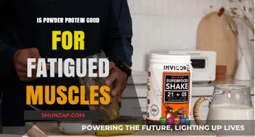 Revitalize Your Muscles: The Benefits of Powder Protein for Fatigue