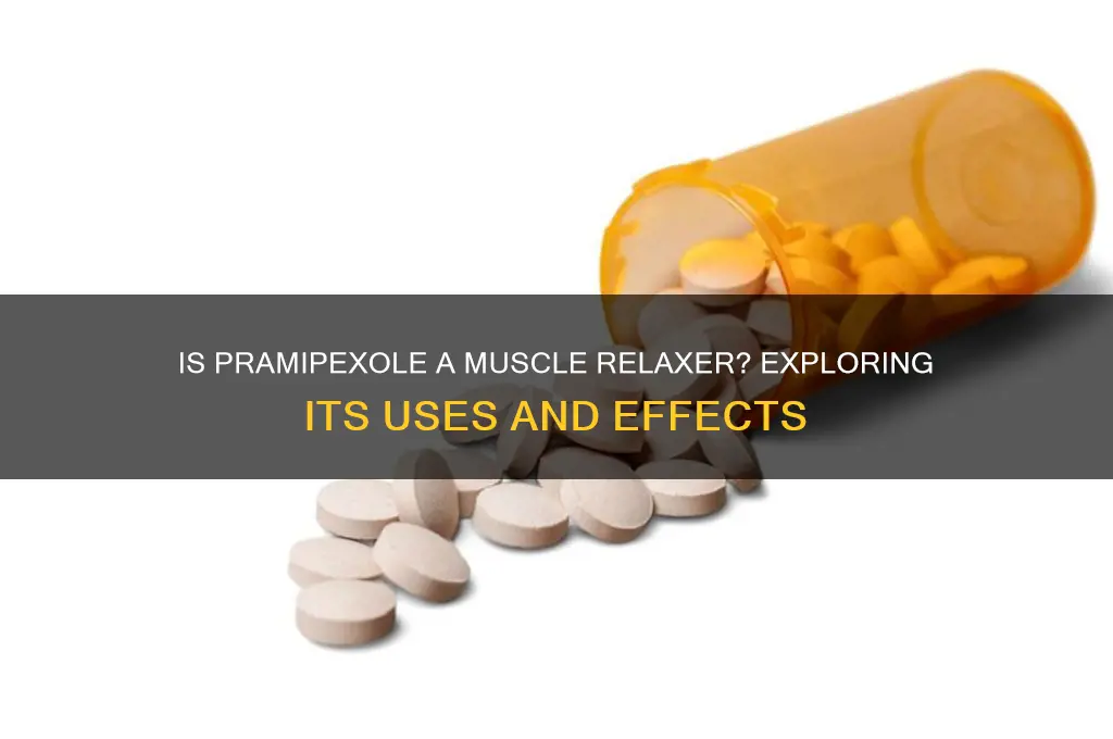 is pramipexole a muscle relaxer