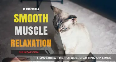 Prazosin's Role in Smooth Muscle Relaxation: Mechanism and Applications