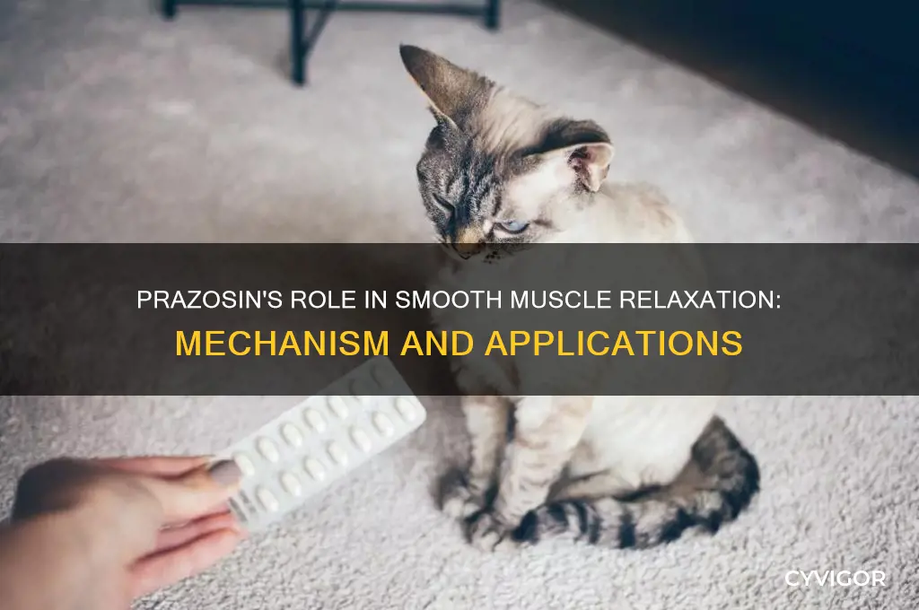 is prazosin a smooth muscle relaxation