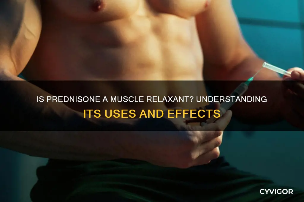 is prednisone a muscle relaxant
