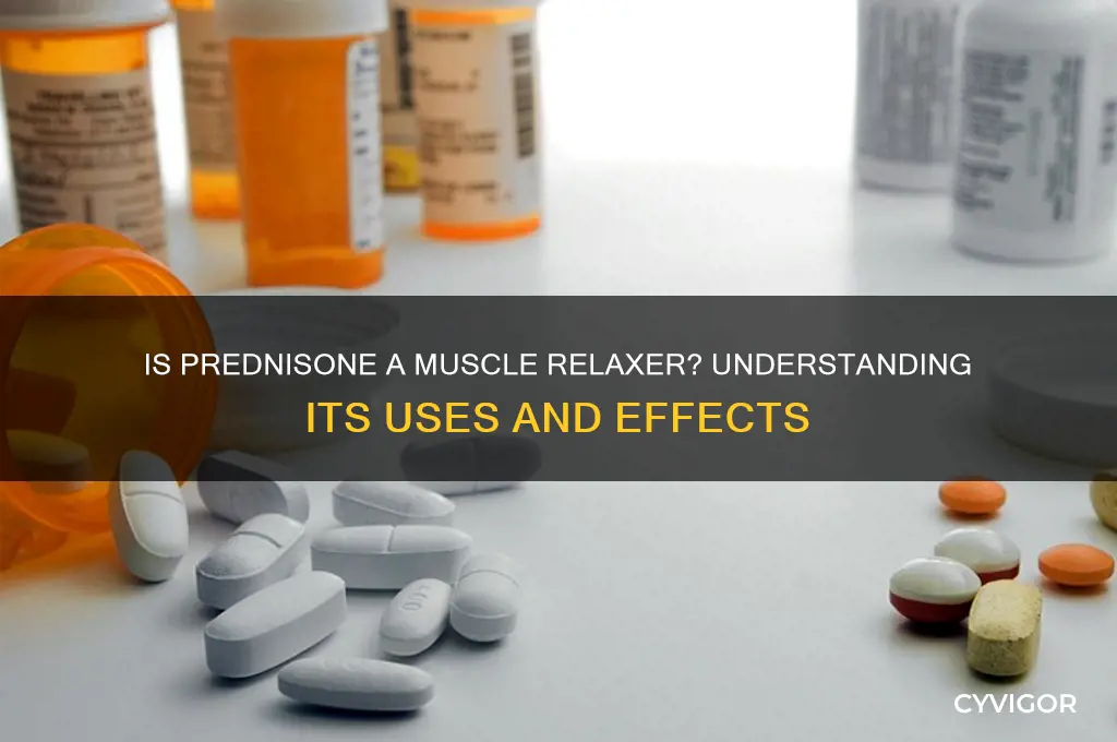 is prednisone a muscle relaxer