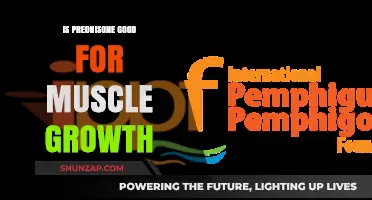 Exploring Prednisone's Impact on Muscle Growth: Benefits and Considerations