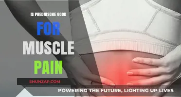 Prednisone for Muscle Pain: Benefits, Risks, and Effectiveness Explained