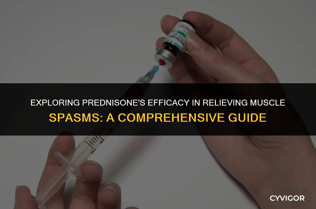 is prednisone good for muscle spasms