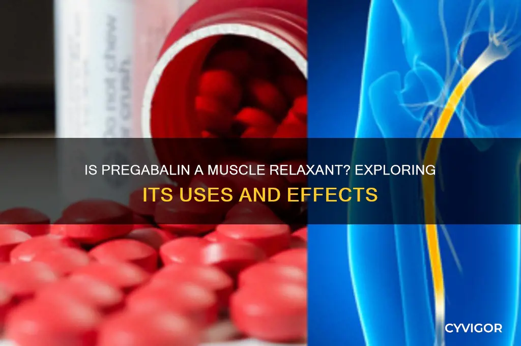 is pregabalin a muscle relaxant