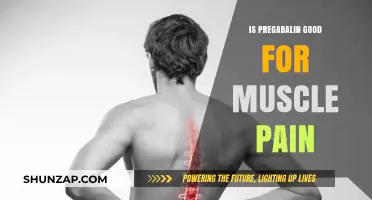 Pregabalin for Muscle Pain: Benefits, Effectiveness, and Side Effects Explained