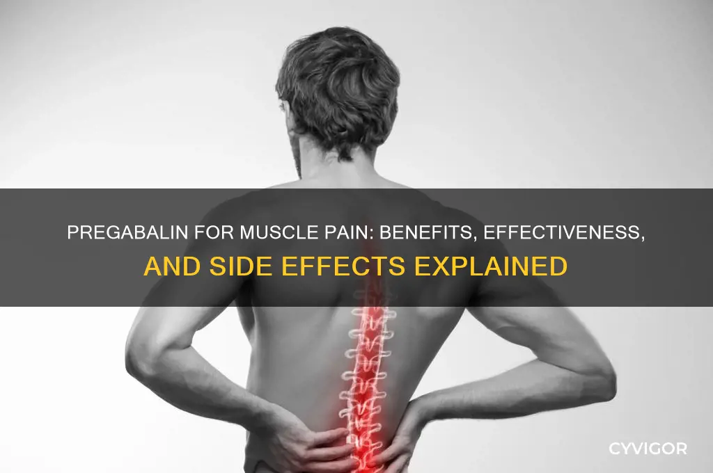is pregabalin good for muscle pain