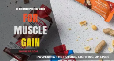 Is Premier Protein Effective for Muscle Gain? A Comprehensive Review